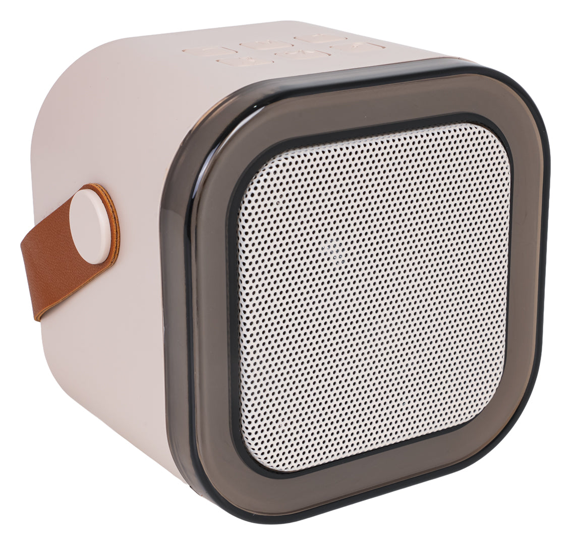 Karaoke mikrofon and Speaker Set
