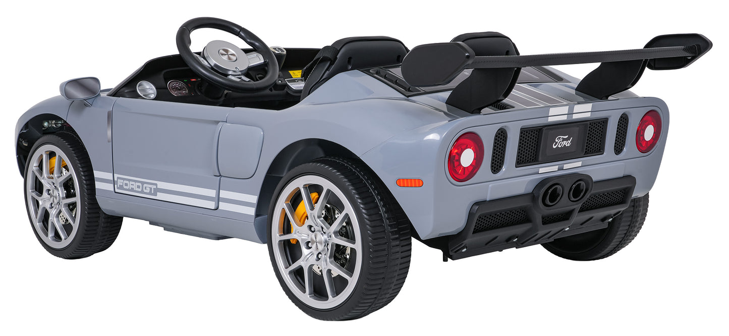 Ford GT | Siva