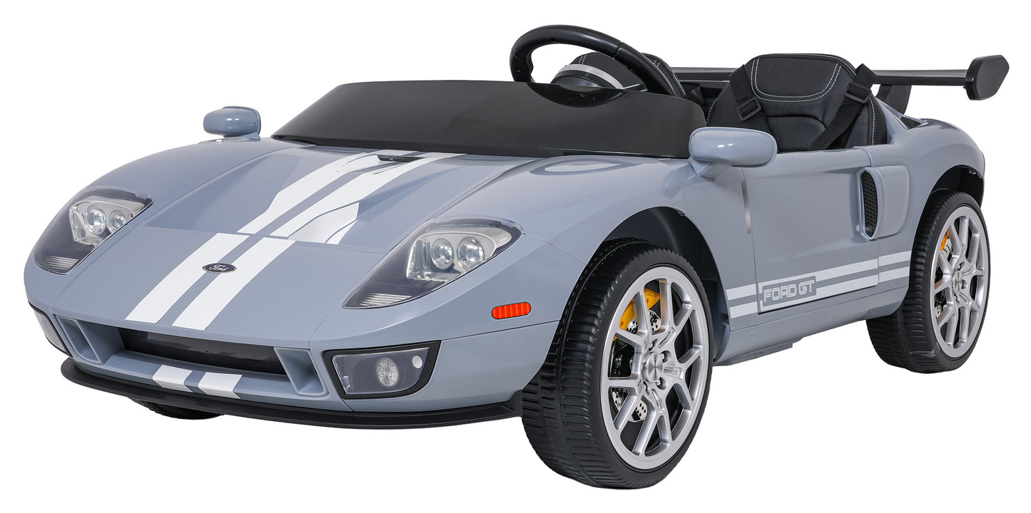 Ford GT | Siva
