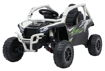 Kawasaki TERYX KRX1000 Buggy | Siva