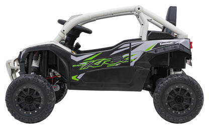 Kawasaki TERYX KRX1000 Buggy | Siva