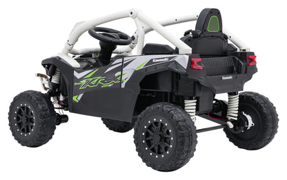Kawasaki TERYX KRX1000 Buggy | Siva