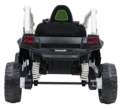 Kawasaki TERYX KRX1000 Buggy | Siva
