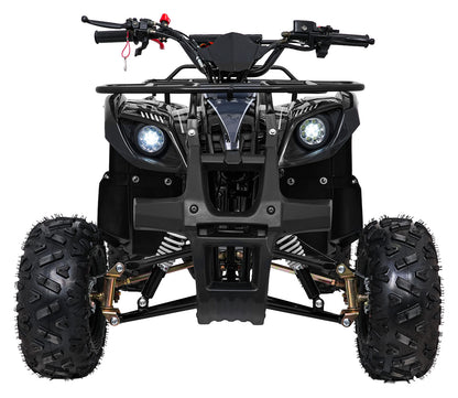 WILDPEAK 110cc Black Combustion Quad