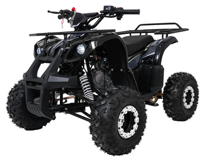 WILDPEAK 110cc Black Combustion Quad
