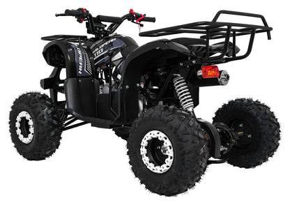 WILDPEAK 110cc Black Combustion Quad