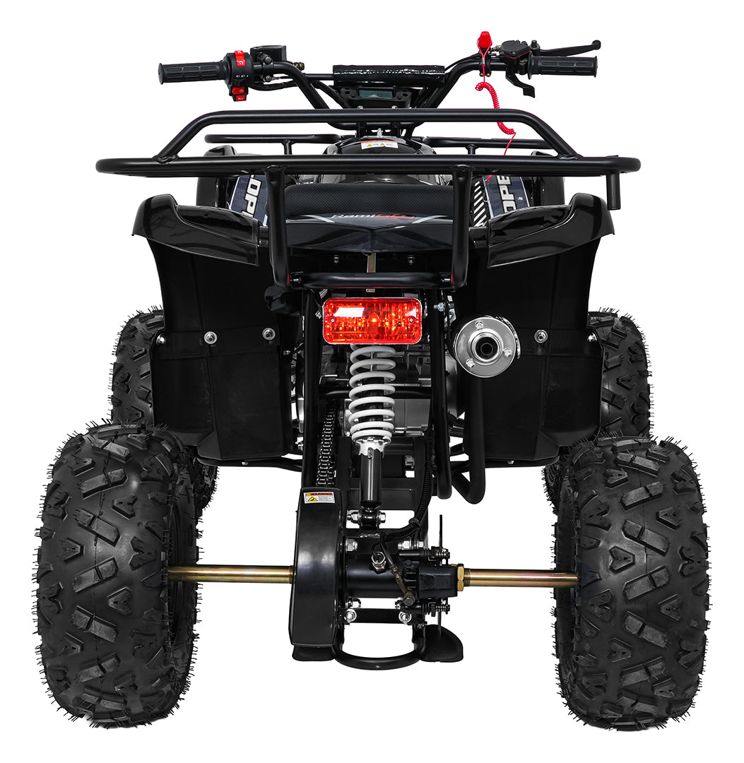 WILDPEAK 110cc Black Combustion Quad