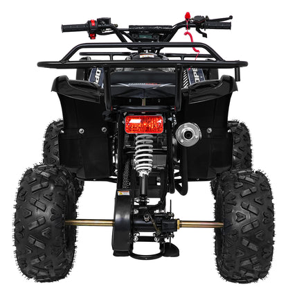 WILDPEAK 110cc Combustion Quad | Crna