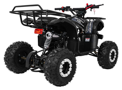 WILDPEAK 110cc Combustion Quad | Crna