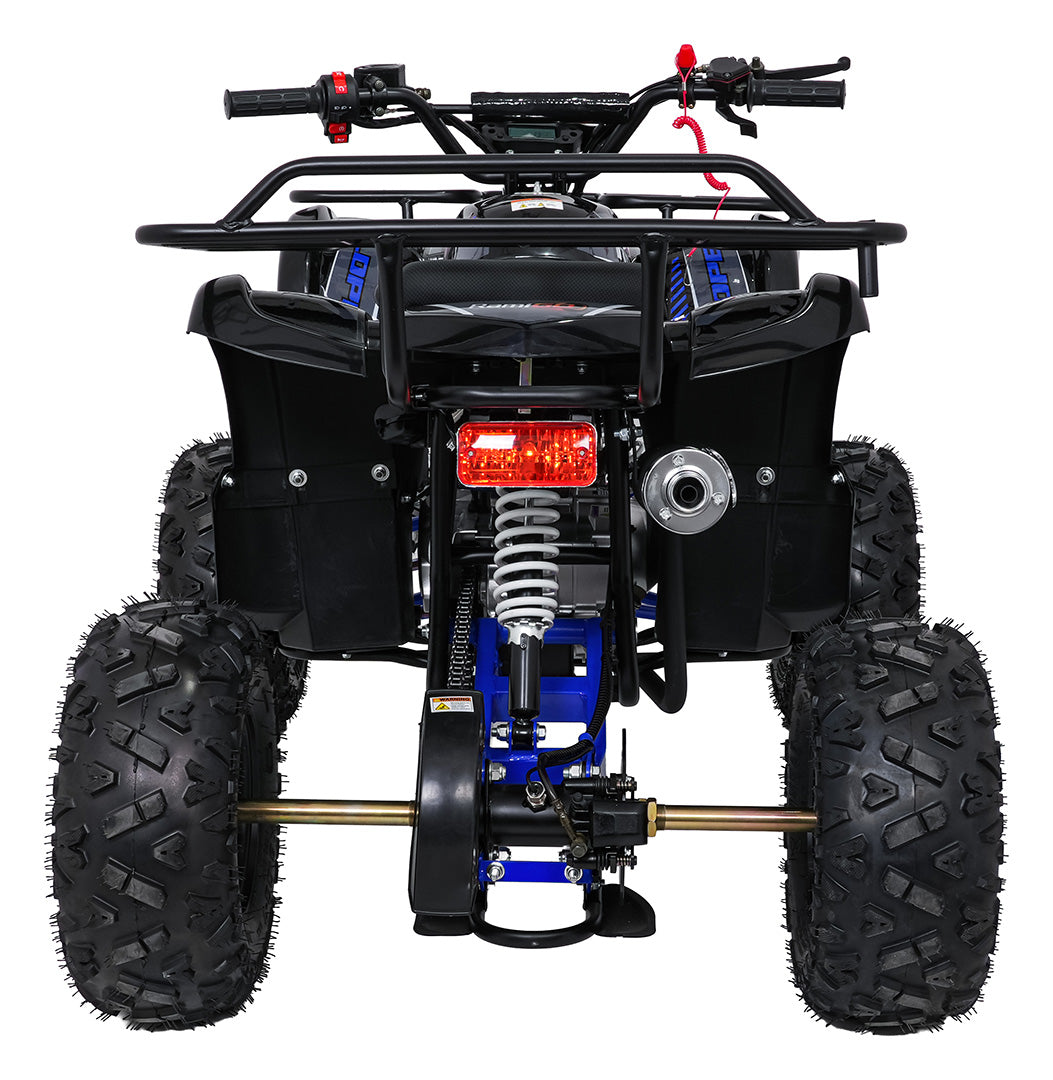 WILDPEAK 110cc Combustion Quad | Plava
