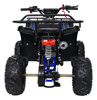 WILDPEAK 110cc Combustion Quad | Plava