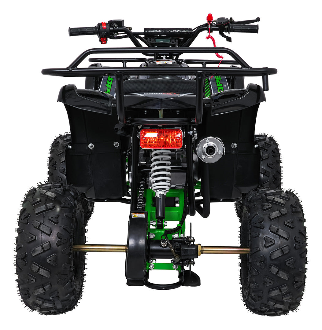 WILDPEAK 110cc Combustion Quad | Zelena
